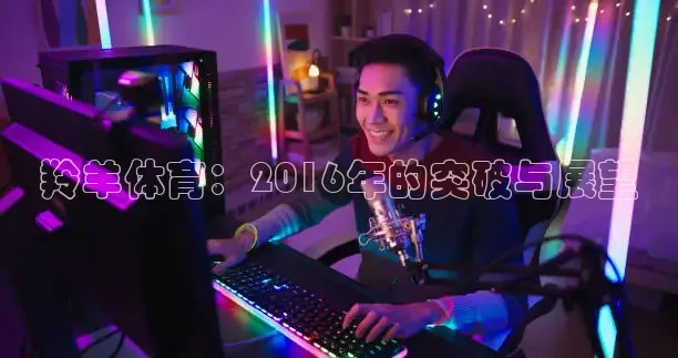 羚羊体育：2016年的突破与展望